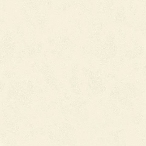 Porcelanato Century PUL Rectificado 30×60 y 60×60 | Alberdi
