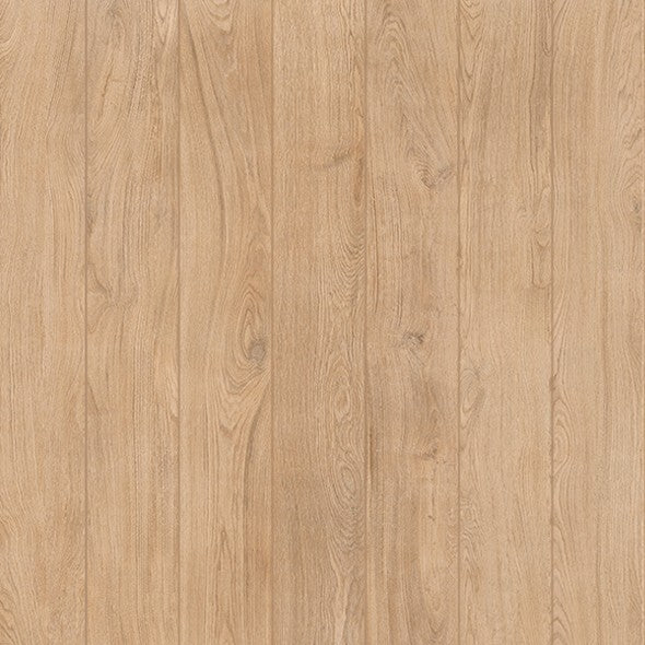 Porcelanato Argan 20x160 cm | Vite